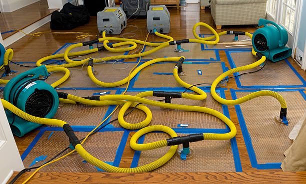 Professional Water Damage Repair technician working in Krakow, WI